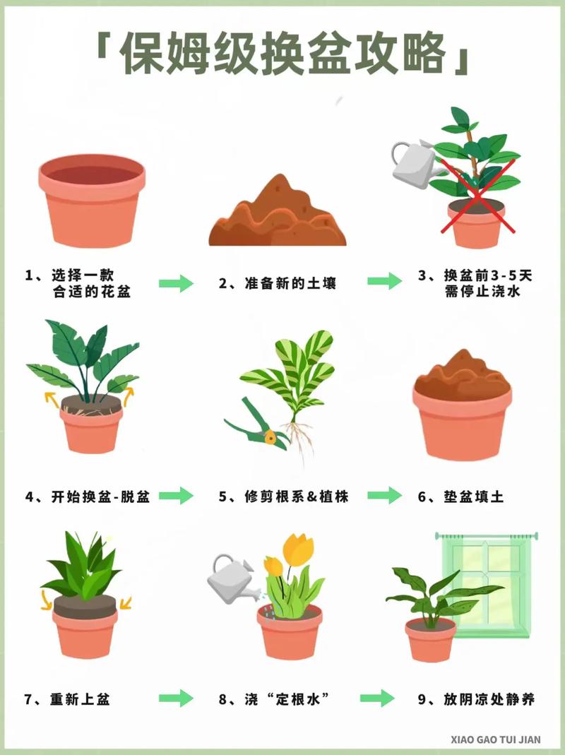 碱性土壤和酸性土壤分别适合什么样的花,养花小技巧想