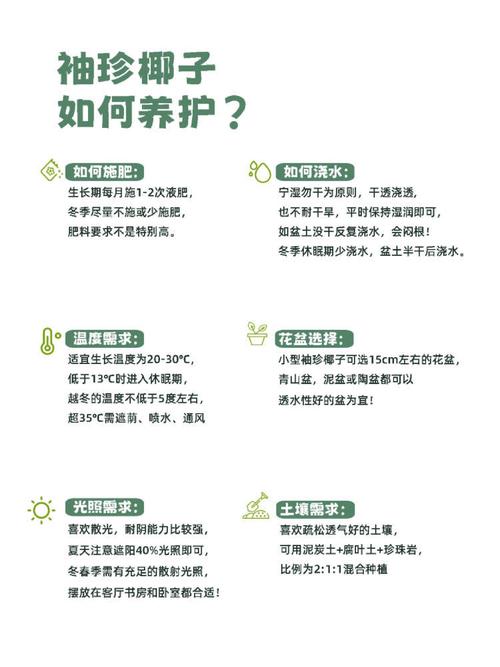 袖珍椰子的养殖方法和注意事项是什么