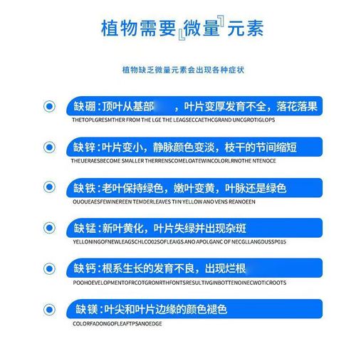 水培吊兰怎么自制营养液