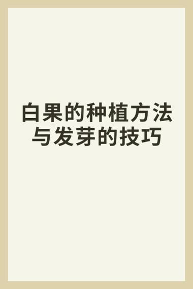 白果种子怎么保存,成活概率多少
