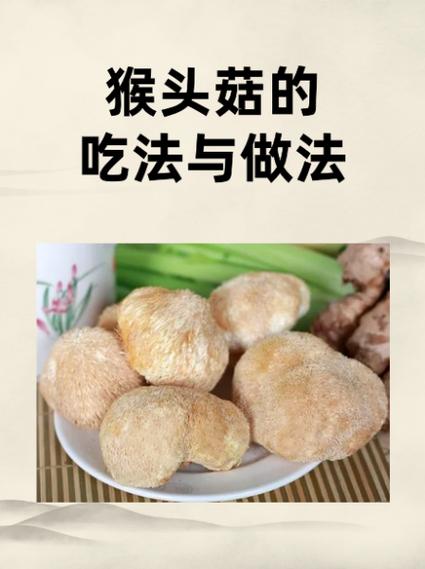 鲜猴头菇的吃法和注意
