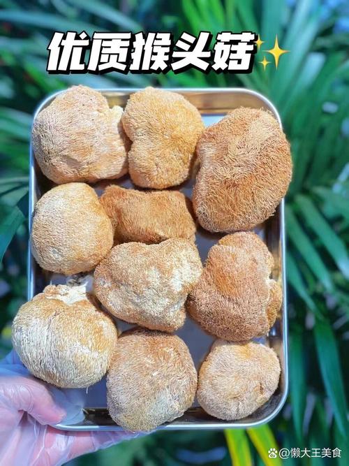 猴头菇怎么吃对肠胃比较好