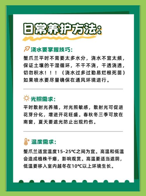 蟹爪兰叶子发黄怎么办补救处理方法