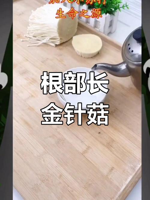 怎么养金针菇的根，怎么养金针菇的根茎
