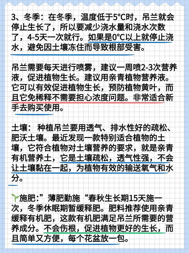 绿萝吊兰的养殖方法和养殖注意事项