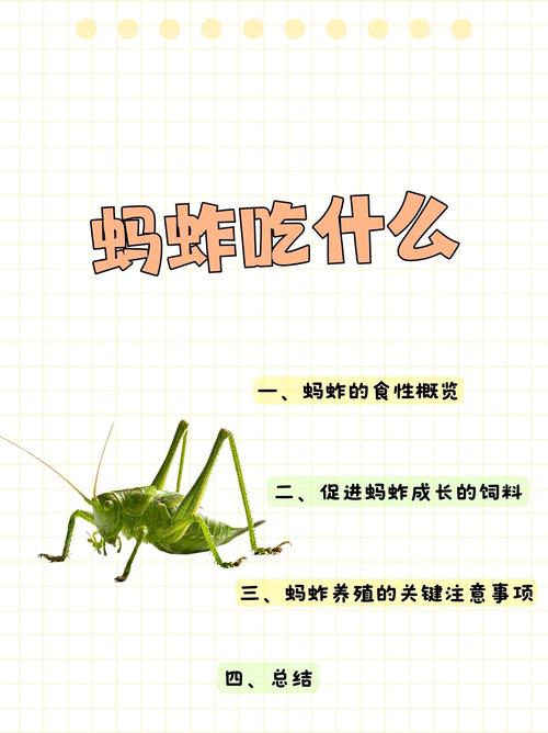 蚂蚱吃什么