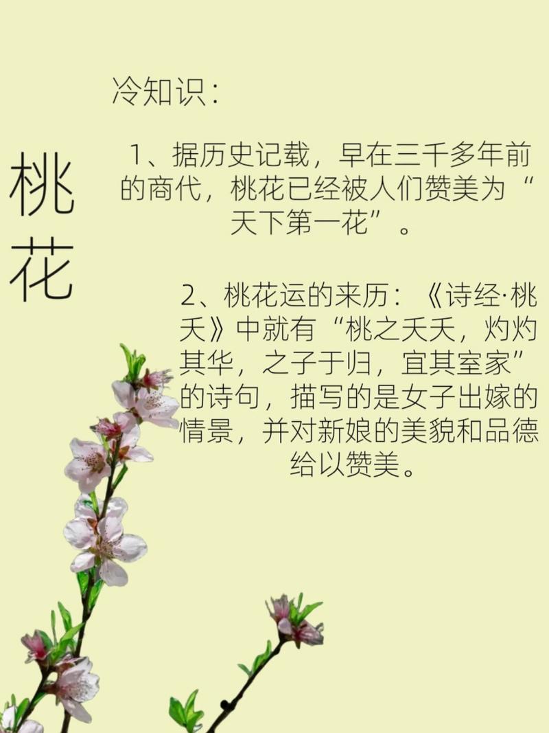 关于桃花的知识