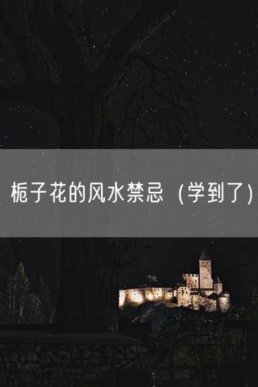 栀子花的风水作用禁忌栀子花的风水作用禁忌是什么