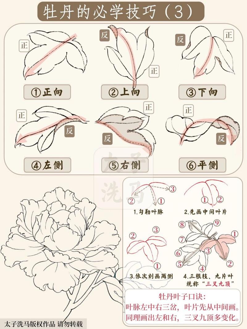 牡丹叶子变黄怎么办?