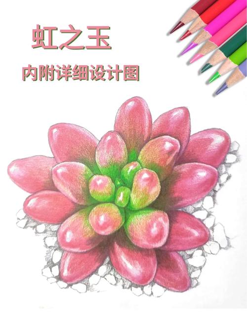 虹之玉长虫了怎么办
