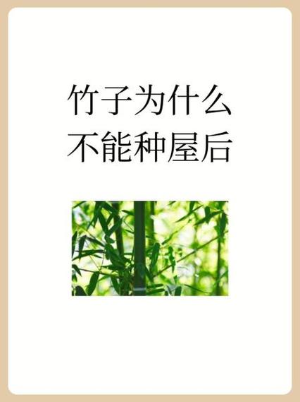 屋子后面栽竹子好吗