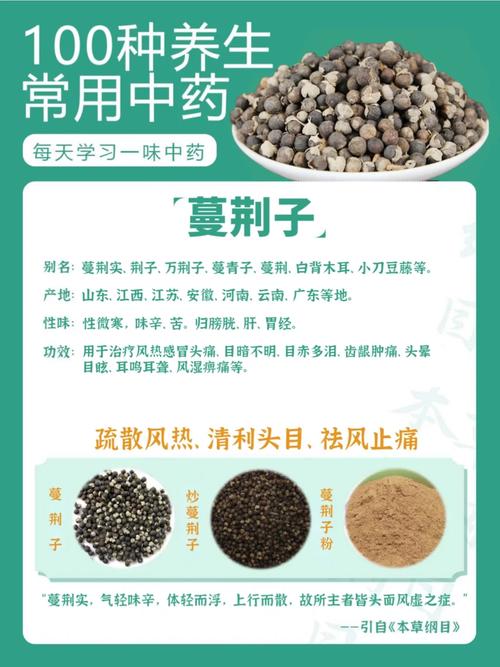 蔓荆子有什么功效?