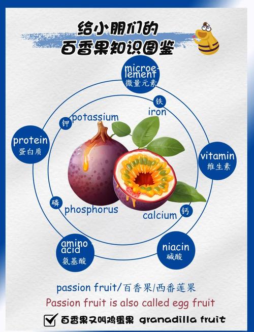 如何让百香果快速开花要种多久才会结果?