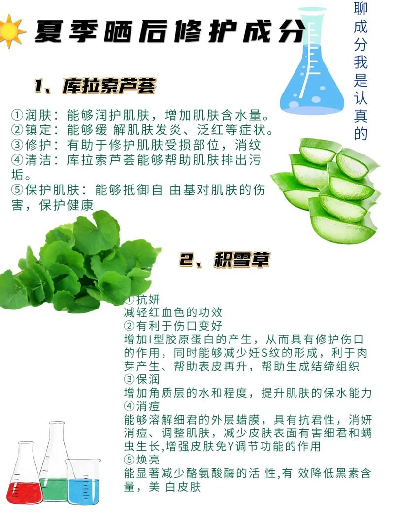 芦荟对人体有何功效?芦荟怎么吃能减肥?