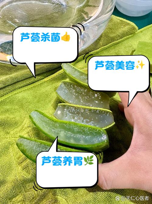 芦荟的功效与作用鲜芦荟怎么吃