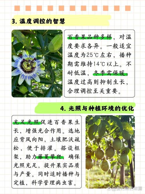 百香果的生长习性特点