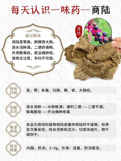 商陆的功效与作用及食用方法