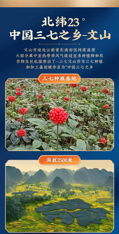 田七好养吗,室内养殖方法和注意事项