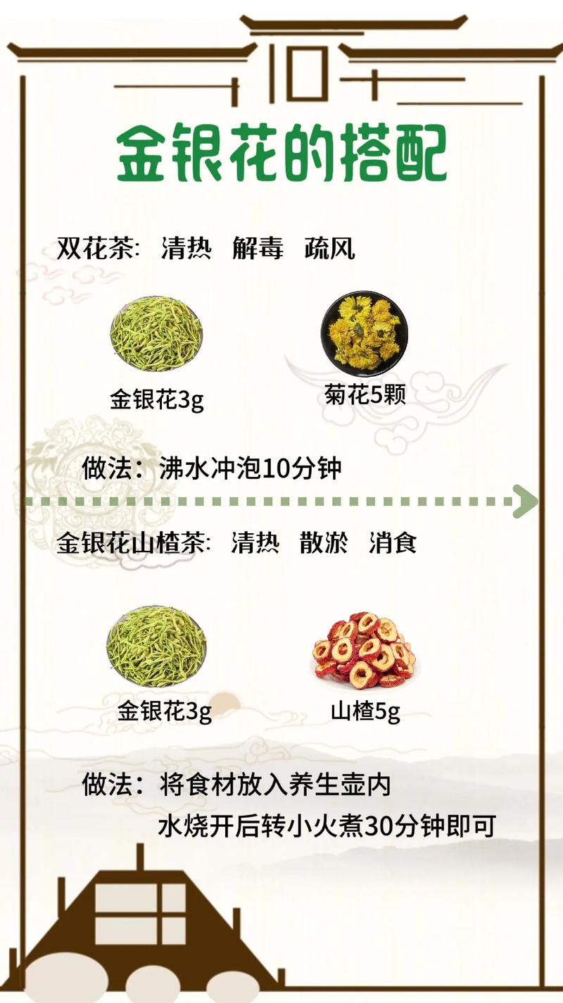 孕妇能不能喝金银花茶