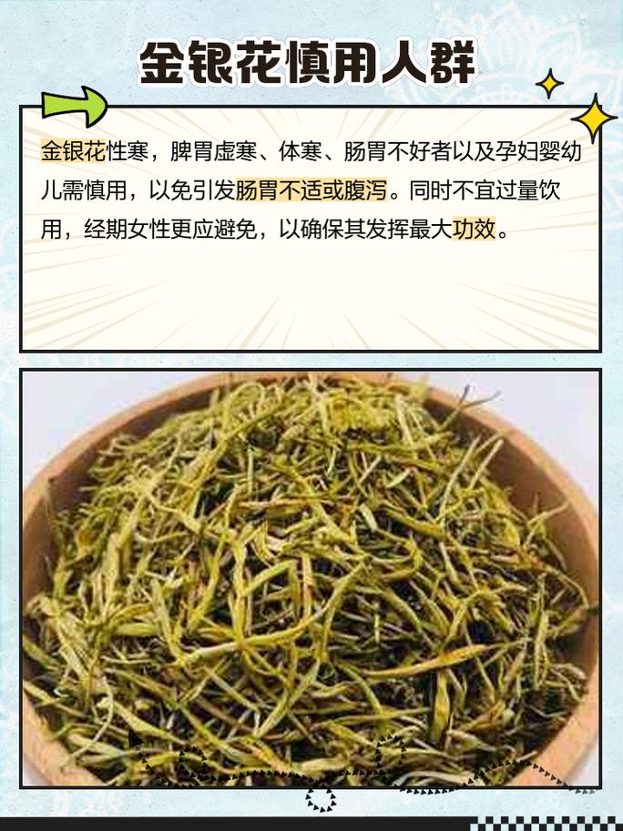 孕妇喝金银花茶对胎儿有影响吗
