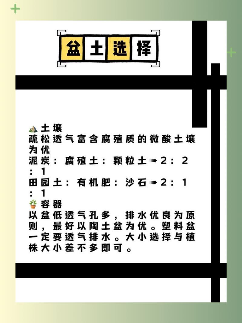 如何养护和开花长春花?