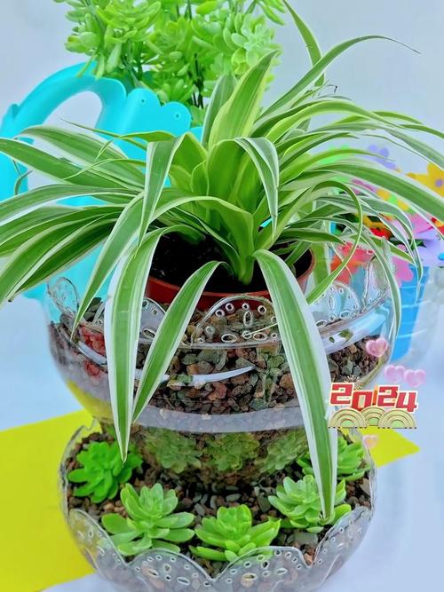 逆天!1个塑料瓶,竟有7种养花大法!