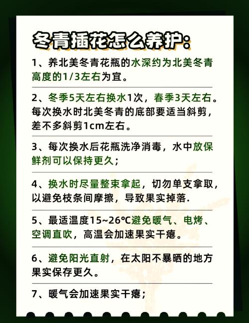 北美冬青怎么养?