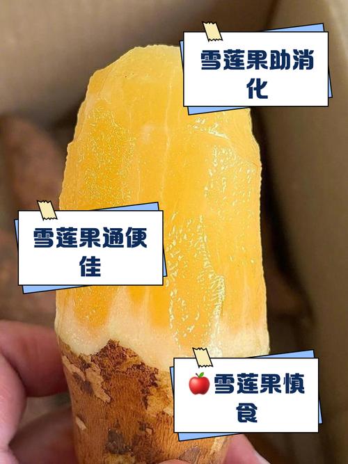 雪莲果的功效与禁忌