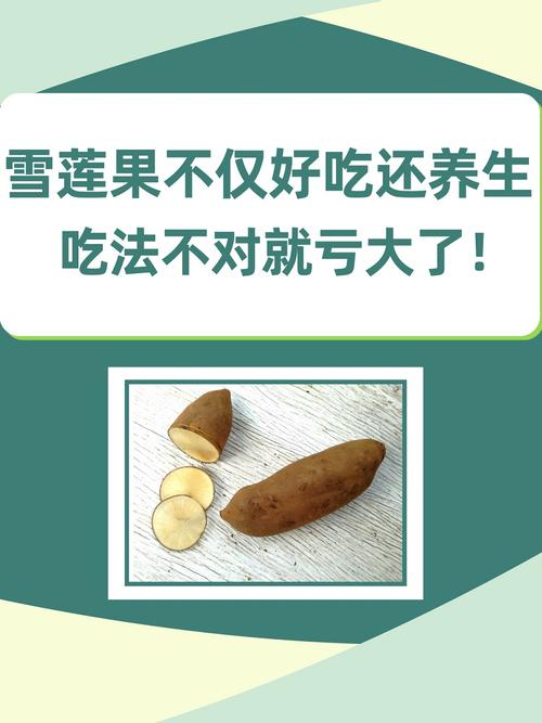 孕妇可以吃雪莲果吗