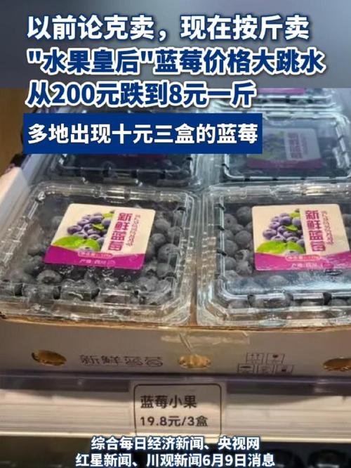 蓝莓费用多少钱一斤?