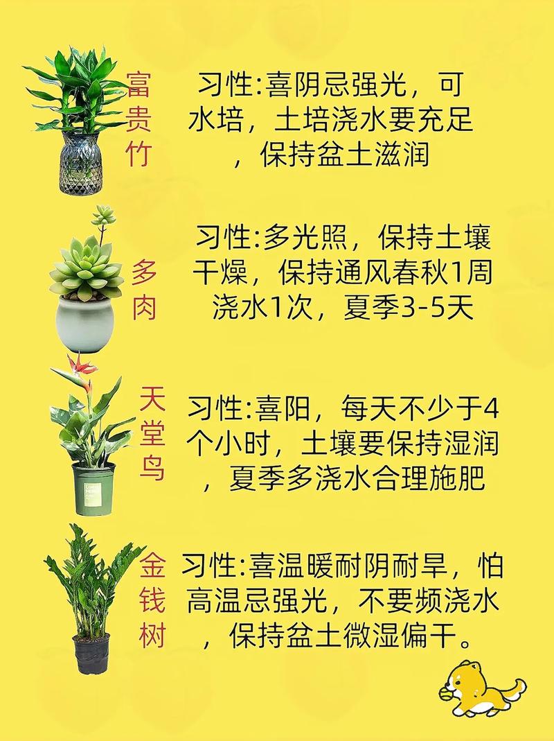 哪些植物适合在春天播种?