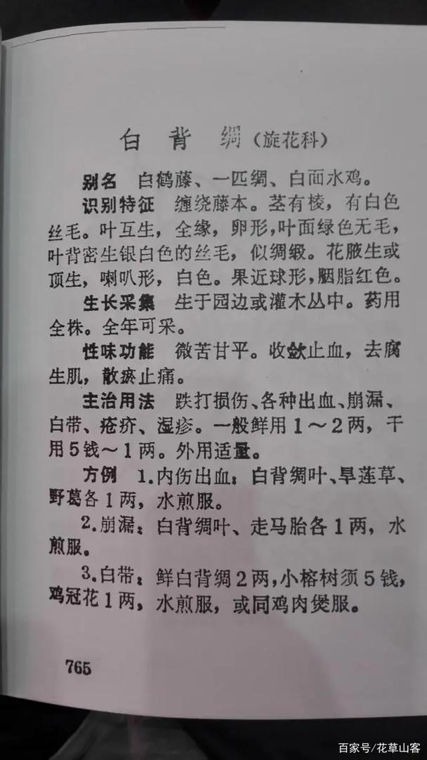 白花银背藤基本信息