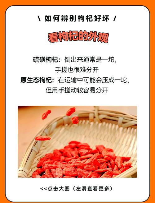 枸杞子怎么看好坏