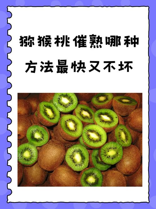 猕猴桃怎么种?什么时候种比较好?