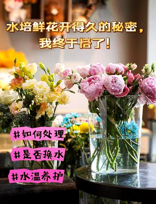 怎样才能买到新鲜的花?