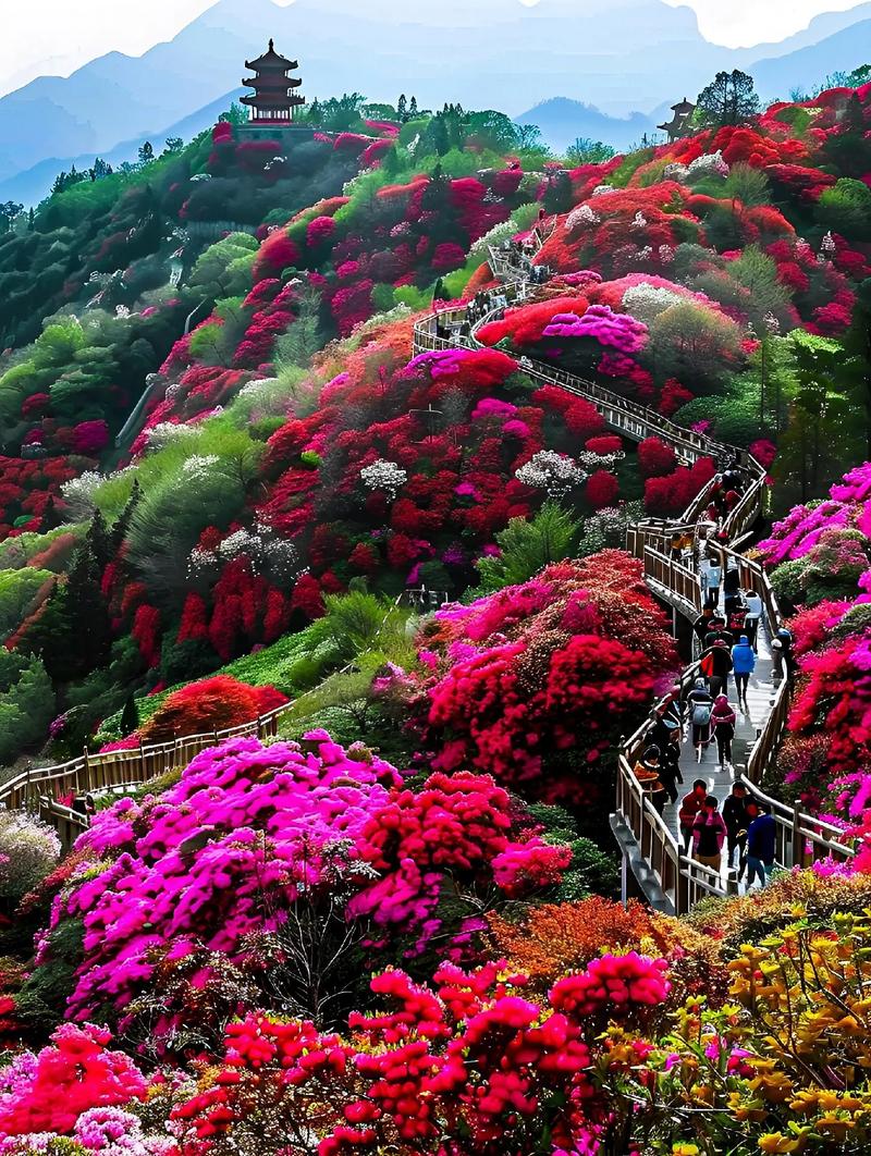 百里杜鹃开花时间是几月份的