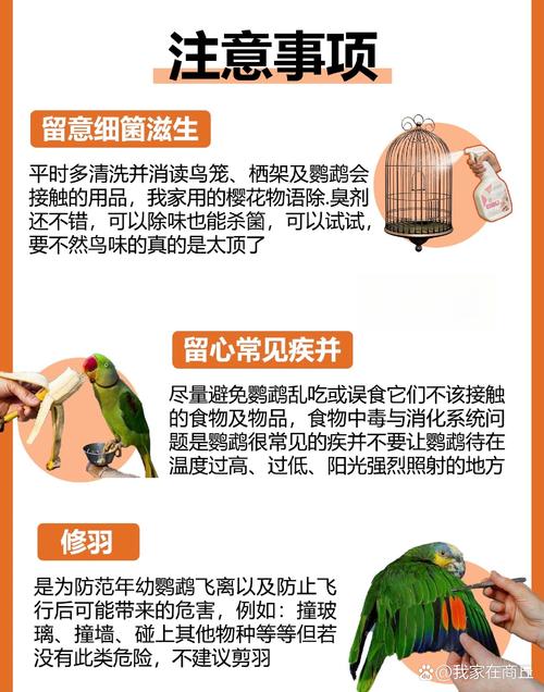云珠的饲养方法和注意事项有哪些?