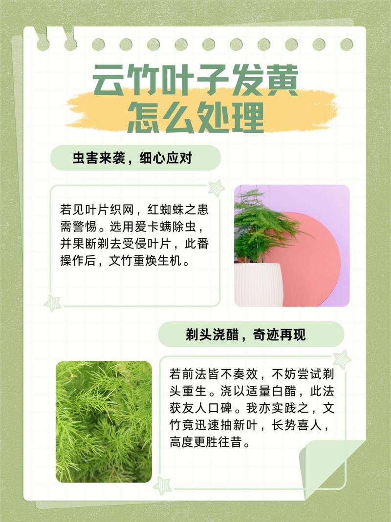 玉竹叶子发黄怎么办