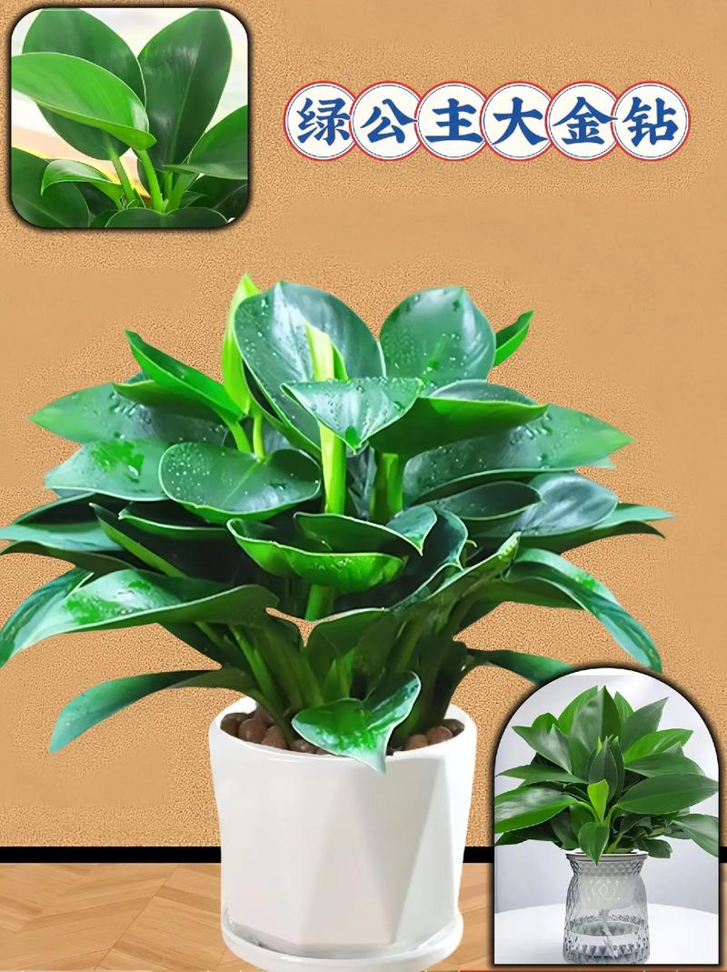 有那么几盆花,吸甲醛的作用大吗?