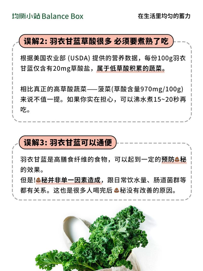 如何食用羽衣甘蓝