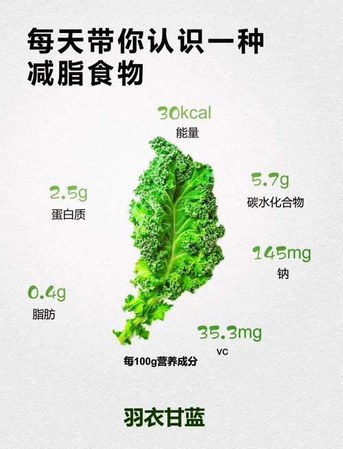 羽衣甘蓝可以吃吗,可以/营养丰富健美减肥食品