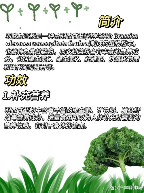 羽衣甘蓝怎么吃