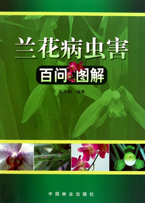 君子兰常见的虫害有哪些