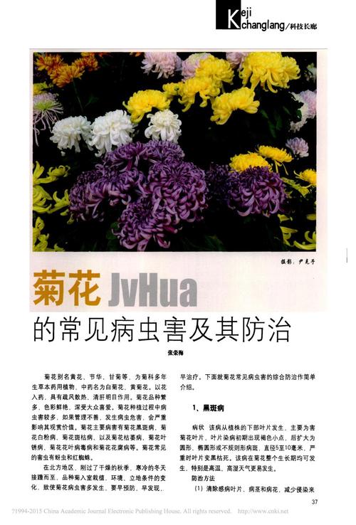 屈曲花的病虫害及其防治