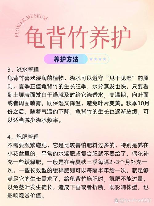 龟背竹多久浇水一次