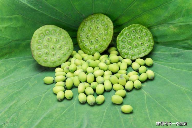 莲花中的莲子能吃吗，吃莲子有好处吗，莲花子叫什么