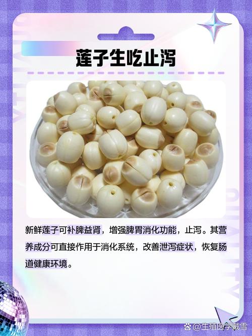 莲蓬里的莲子可以生吃吗