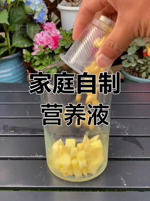 怎么自制万能花肥营养液