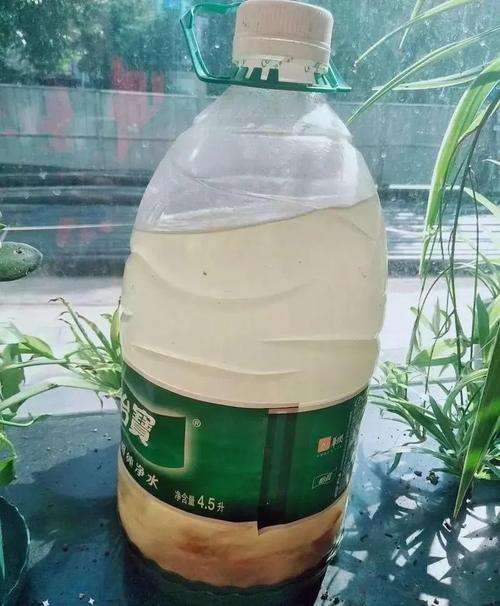 如何用发酵淘米水等自制花肥