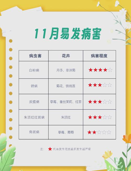 小丽花的病害防治